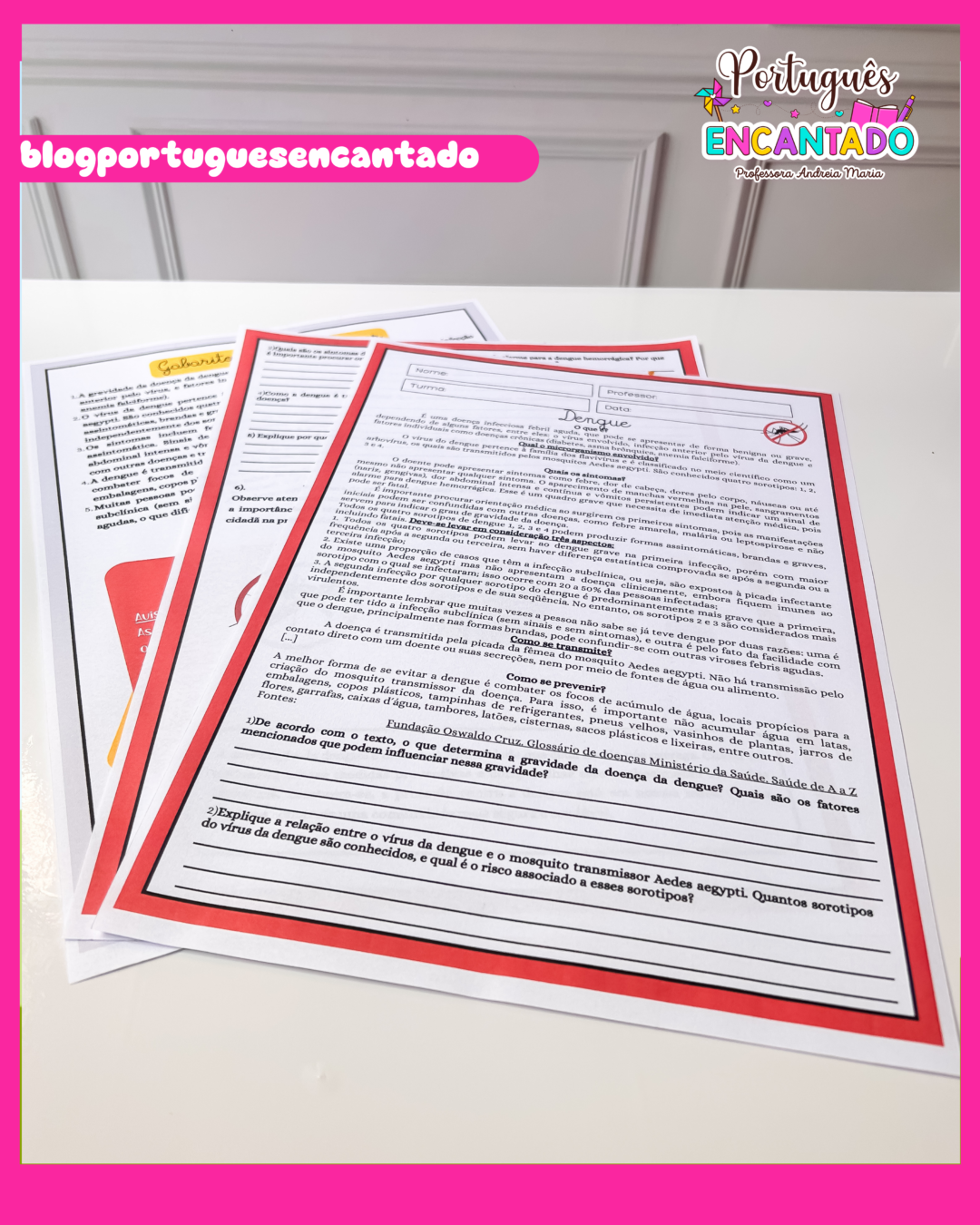 Interpretação de texto - Combatendo a Dengue - Imagem 3